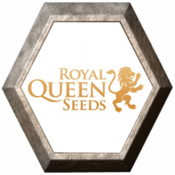 Medical Mix 3 semillas Royal Queen Seeds ROYAL QUEEN SEEDS ROYAL QUEEN SEEDS