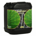 Ata Rootfast 5LT Atami