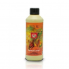 Bud XL 500ml House&Garden
