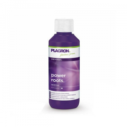 Power Roots 100ml Plagron PLAGRON PLAGRON