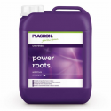 Power Roots 5l Plagron