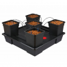 Wilma XXL5 Completo