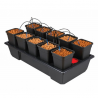 Wilma Small 10 Completo