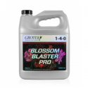 Blossom Blaster Pro 4lt Grotek 
