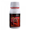 Spider Plant 60ml