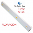 luminaria LED 60w Prolight Opto CRI95 2200k  (barra 50cm) FLORACIÓN