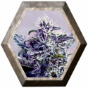 Kush Express 5 semillas Positronics Seeds