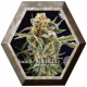 Solodiol Auto CBD 3 semillas Elite Seeds ELITE SEEDS ELITE SEEDS