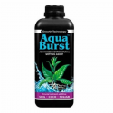 AquaBurst 1l Ionic