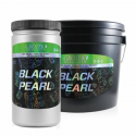 Black Pearl 4l Grotek