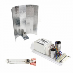 KIT Polaris 600w Vanguard Stuco Asia ( cult. mixto )  KIT 600W