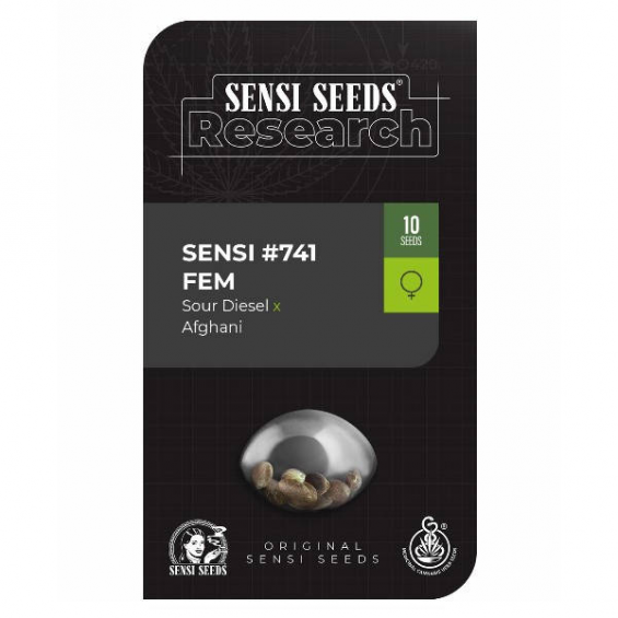 Research 741 1 semilla Sensi Seeds SENSI SEEDS SENSI SEEDS