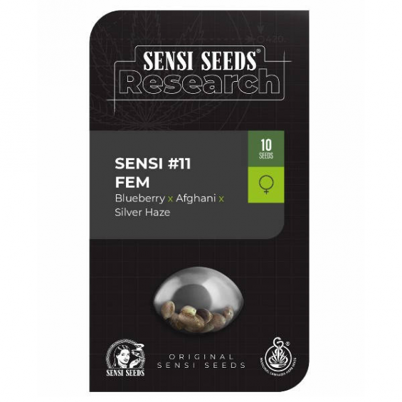 Research 11 1 semilla Sensi Seeds SENSI SEEDS SENSI SEEDS