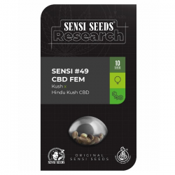 Research 49 CBD 1 semilla Sensi Seeds SENSI SEEDS SENSI SEEDS
