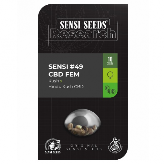 Research 49 CBD 1 semilla Sensi Seeds SENSI SEEDS SENSI SEEDS