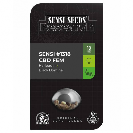 Research 1318 CBD 1 semilla Sensi Seeds SENSI SEEDS SENSI SEEDS