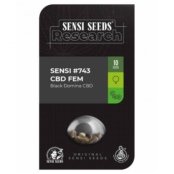 Research 743 CBD 1 semilla Sensi Seeds SENSI SEEDS SENSI SEEDS