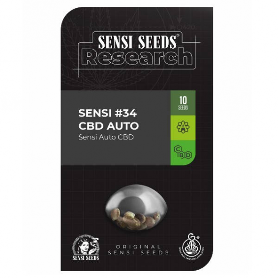 Research 34 Auto CBD 1 semilla Sensi Seeds SENSI SEEDS SENSI SEEDS
