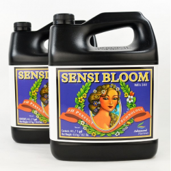 Sensi Bloom A&B 4LT Advanced Nutrients ADVANCED NUTRIENTS ADVANCED NUTRIENTS