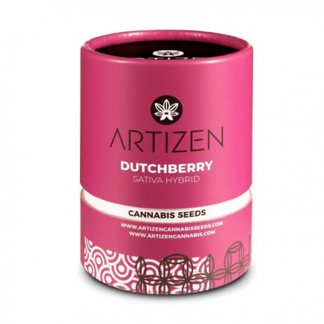 Dutchberry 3 semillas Artizen Artizen ARTIZEN