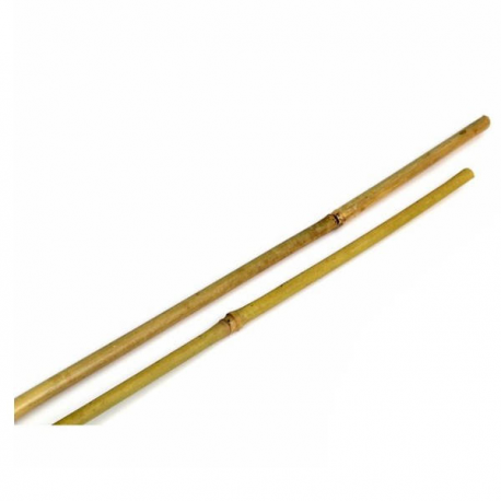 Tutor bambu 1m 8/10 (500 u)  TUTORES