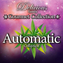 Gourmet Collection Auto 1 9 semillas Delicious Seeds