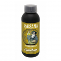 Raisana Enzimas Limpiadoras 1150ml Cannaboom