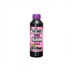 X-Bloom 250ml Biogreen BIOGREEN BIOGREEN