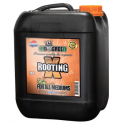 X-Rooting 10l Biogreen