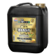 X-Blast 10l Biogreen BIOGREEN BIOGREEN