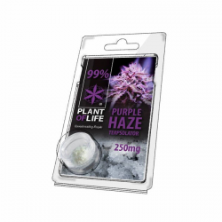 Terpsolator 99% CBD Purple Haze 250mg Plant Of Life  Cristales de CBD