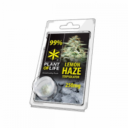 Terpsolator 99% CBD Lemon Haze 250mg Plant Of Life  Cristales de CBD