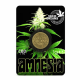 Incienso Moneda Amnesia CBD 1gr Terpescience Incienso CBD