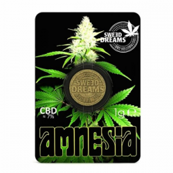 Incienso Moneda Amnesia CBD 1gr Terpescience Incienso CBD