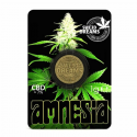 Incienso Moneda Amnesia CBD 1gr