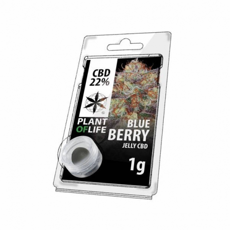 Jelly 22% de CBD Blueberry 1gr Plant of Life  Incienso CBD