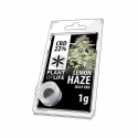 Jelly 22% de CBD Lemon Haze 1gr Plant of Life