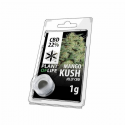 Jelly 22% de CBD Mango Kush 1gr Plant of Life