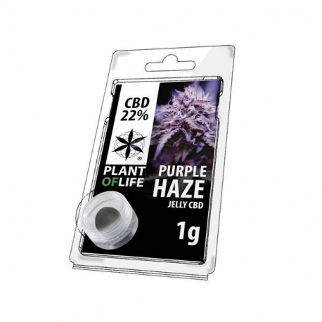 Jelly 22% de CBD Purple Haze 1gr Plant of Life  Incienso CBD