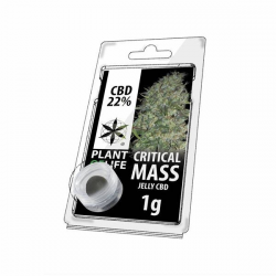 Jelly 22% de CBD Critical Mass 1gr Plant of Life  Incienso CBD