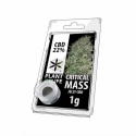 Jelly 22% de CBD Critical Mass 1gr Plant of Life