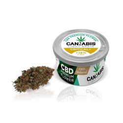 Flores CBD Critical + 3gr Cannabis Light Spain Cannabis Light Spain Flores CBD