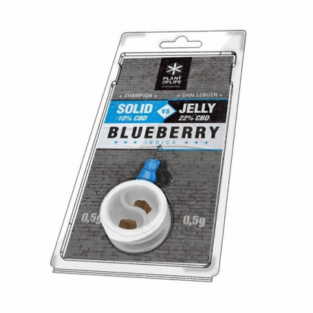 Solid 10% CBD Vs Jelly 22% CBD Blueberry 0.5 + 0.5 Plant of Life  Incienso CBD