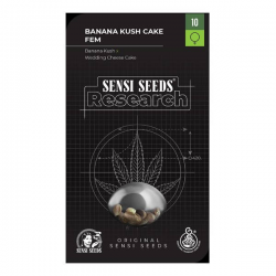 Banana Kush Cake 1 semilla Sensi Seeds SENSI SEEDS SENSI SEEDS