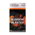 Blossom Blaster 20gr Grotek