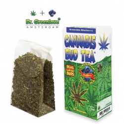 Blueberry Cannabis Bud Té infusión CBD   Otros