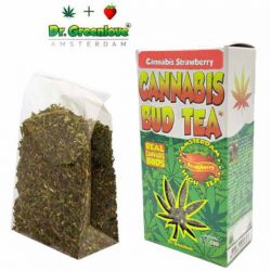 Cannabis Bud Té Fresa infusión CBD  Otros