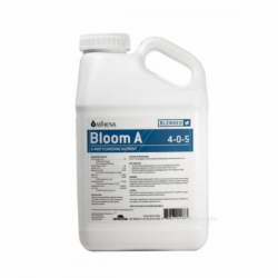 Bloom A 3.78l ATHENA ATHENA ATHENA