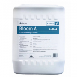 Bloom A 18.92l ATHENA ATHENA ATHENA