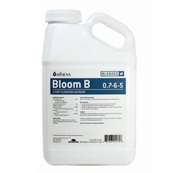 Bloom B 3.78l ATHENA ATHENA ATHENA